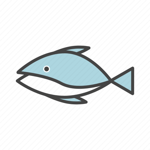 Bluefin, tuna, fish icon - Download on Iconfinder