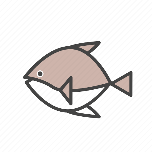 Panfish, fish, fishing icon - Download on Iconfinder