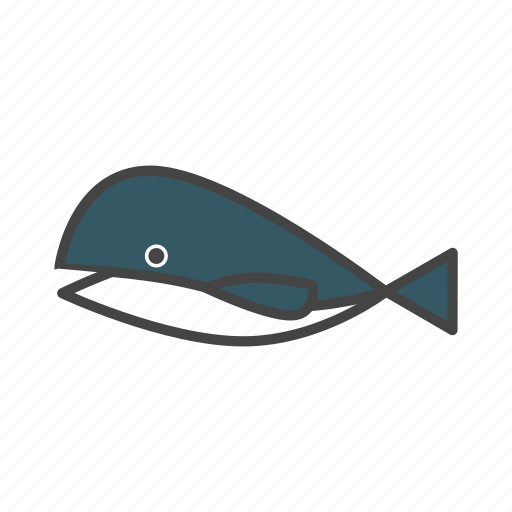 Whale, ocean, fish, animal icon - Download on Iconfinder