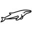 blue, whale, dolphin, arctic, baleen, cetacean 