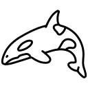 jumping, orca, dolphin, pet, playing, fish, tamed