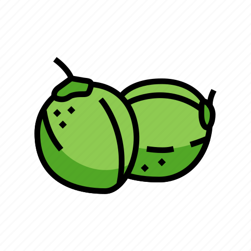 Green, coconut, coco, fruit, fresh, white icon - Download on Iconfinder