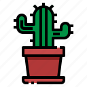 botanical, cactus, desert, office, plant