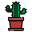 botanical, cactus, desert, office, plant 