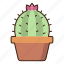 cactus, plant, nature 