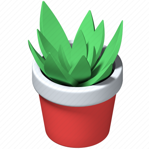 Plant, potted, office, succulent 3D illustration - Download on Iconfinder