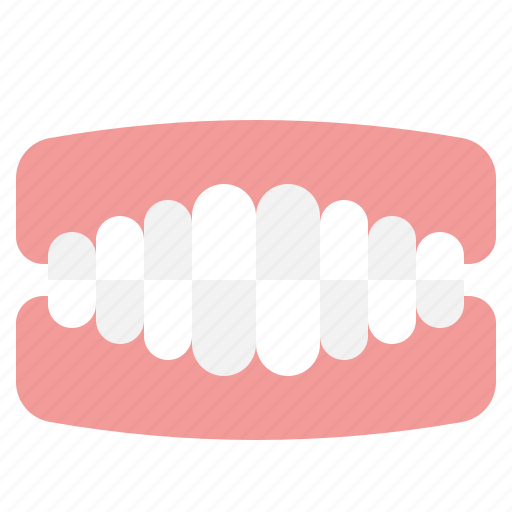 Denture, healthcare, medical, dental, care, tooth icon - Download on Iconfinder