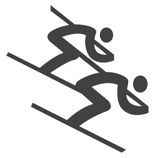 Cross, freestyle, olympic, skiing, sky icon - Free download