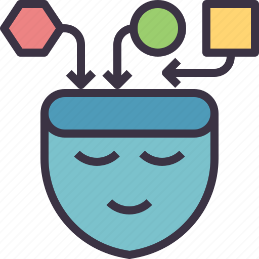 Experience, learning, input, skill, learner icon - Download on Iconfinder