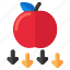 falling apple, gravitational force, physics, falling fruit, attracting force 