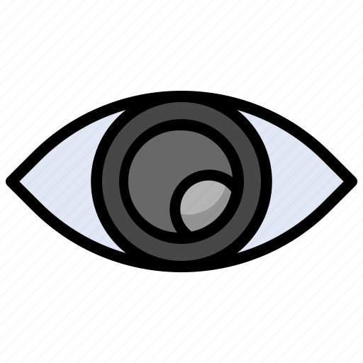 Eye, password, blind, show, healthcare icon - Download on Iconfinder
