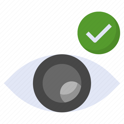 Visible, correct, view, eye, check icon - Download on Iconfinder
