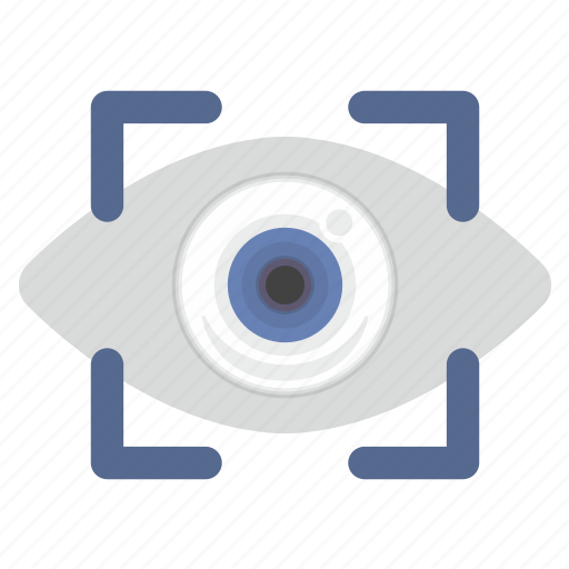 Biometry, data, detect, eye, eyesight icon - Download on Iconfinder