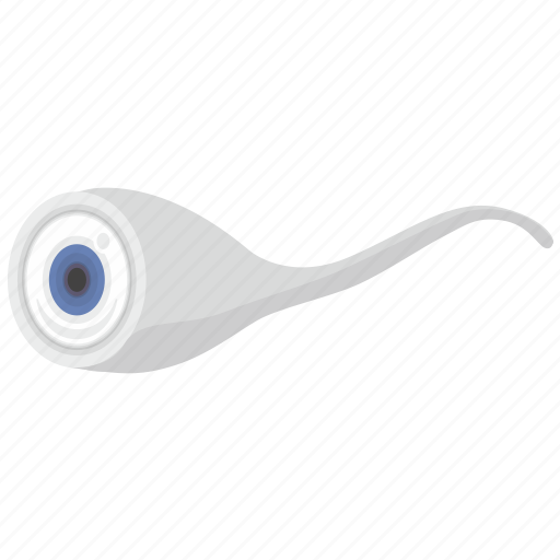 Eye, eyesight, health, organ icon - Download on Iconfinder
