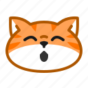 cute, cat, orange, emoticon 