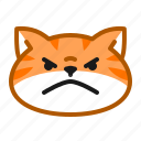cute, cat, orange, emoticon, angry 