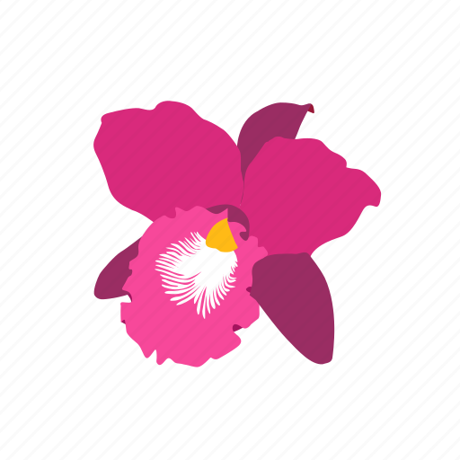 Flower, orchid, pink, purple icon - Download on Iconfinder