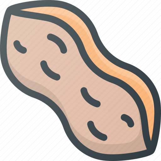Fruit, peanut, seed icon - Download on Iconfinder