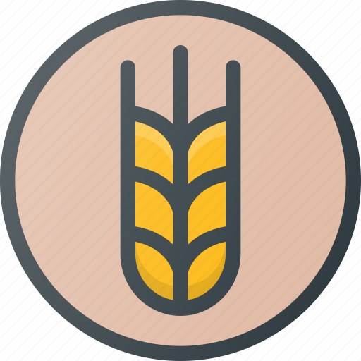 Diet, grain, wheat icon - Download on Iconfinder