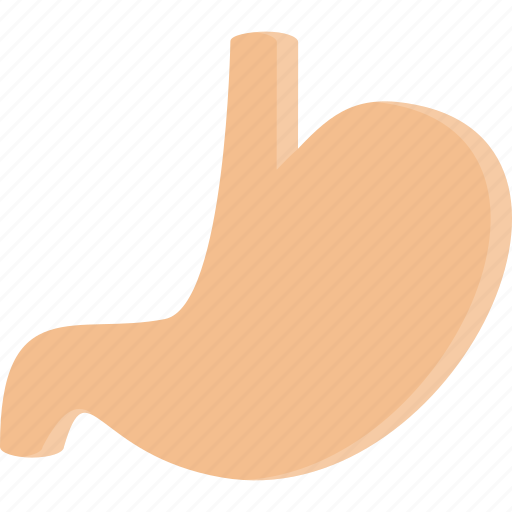 Clinic, doctor, hospital, stomach, treatment icon - Download on Iconfinder