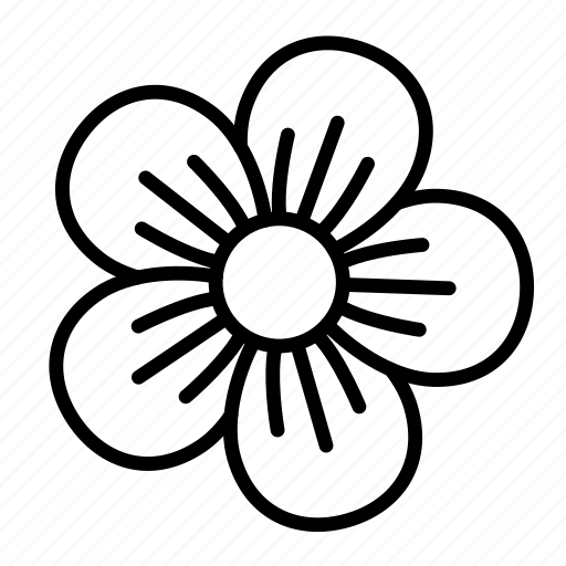 Blossom, flower, geranium, nature, spring icon - Download on Iconfinder