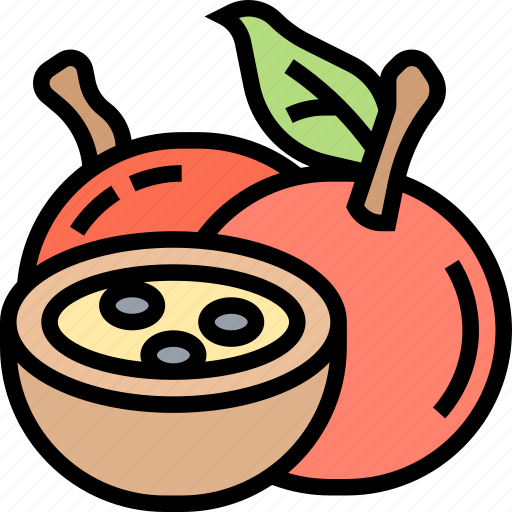 Passionfruit, fruit, dessert, diet, sour icon - Download on Iconfinder