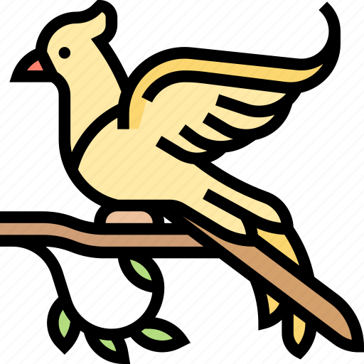 Resplendent, quetzal, bird, wild, jungle icon - Download on Iconfinder