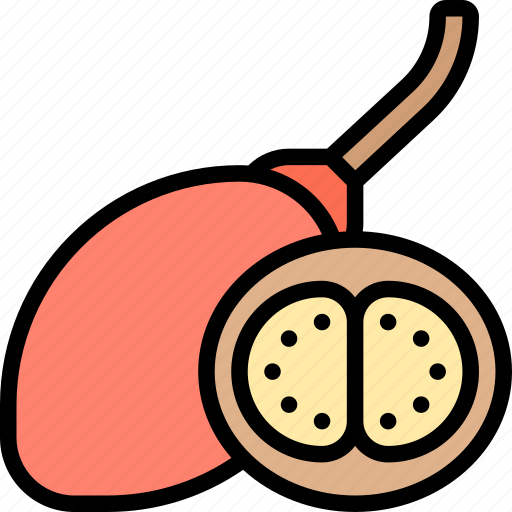 Tree, tomato, tamarillo, fresh, seed icon - Download on Iconfinder