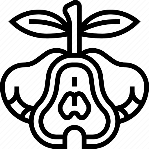 Rose, apple, fruit, juicy, fresh icon - Download on Iconfinder