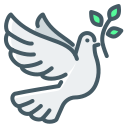 peace, dove, hope, pigeon, freedom, faith, religion