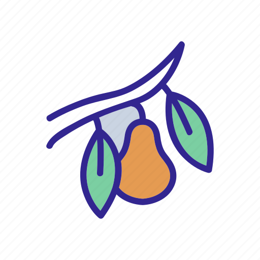 Branch, cut, growing, juice, outline, pear, pieces icon - Download on Iconfinder