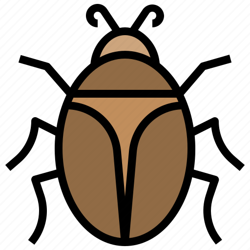 Bug, insect icon - Download on Iconfinder on Iconfinder