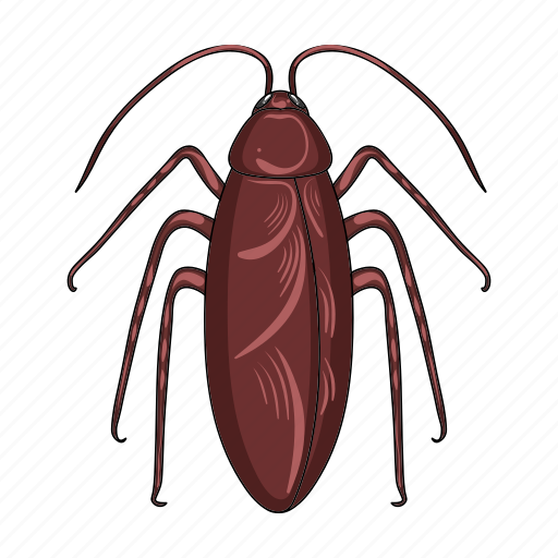 Arthropod, cockroach, insect, pest icon - Download on Iconfinder