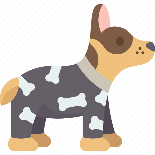 Dog, clothes, pet, fur, adorable icon - Download on Iconfinder