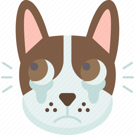Dogs, conjunctivitis, allergic, eye, condition icon - Download on Iconfinder