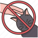 cat, avoid, touching, animal, allergic