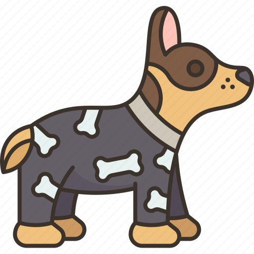 Dog, clothes, pet, fur, adorable icon - Download on Iconfinder