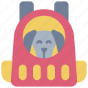 dog, carrier, bag, pet, animal