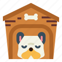 dog, house, pets, sleep