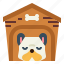 dog, house, pets, sleep 