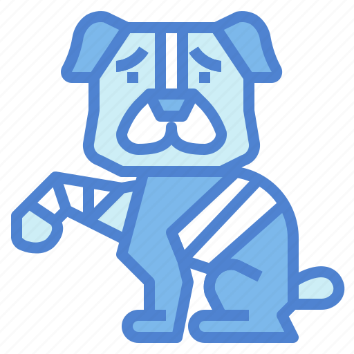 Bandaged, dog, medical, pets icon - Download on Iconfinder