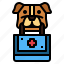 aid, dog, first, kit, medicine, pets 