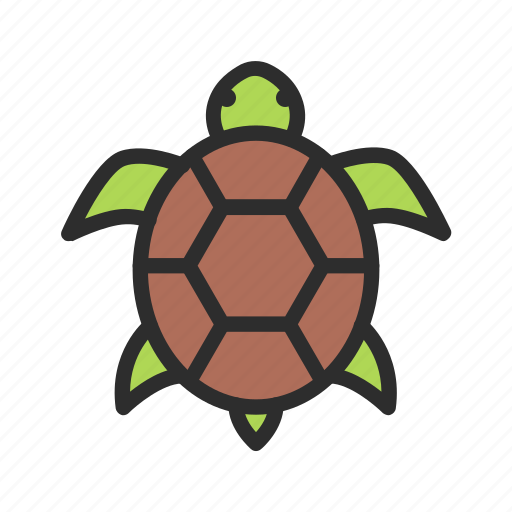 Pet, shop, turtle icon - Download on Iconfinder