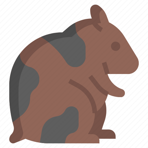 Hamster, rodent, pet, animals, pets icon - Download on Iconfinder
