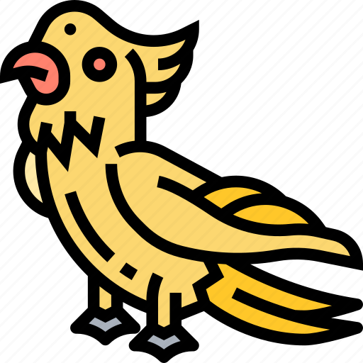 Bird, cockatiel, parrot, pet, animal icon - Download on Iconfinder