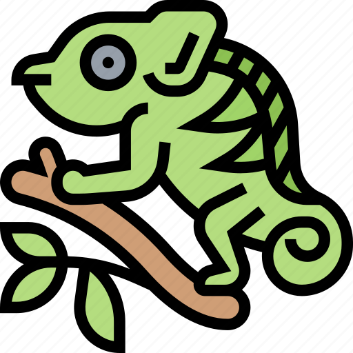 Chameleon, lizard, pet, animal, exotic icon - Download on Iconfinder