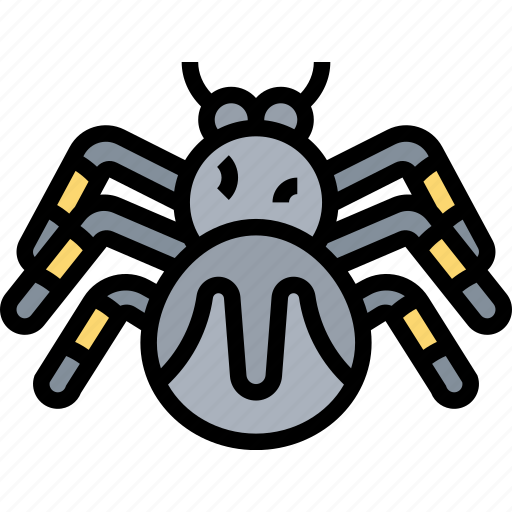 Spider, spiderweb, arachnid, pet, wildlife icon - Download on Iconfinder