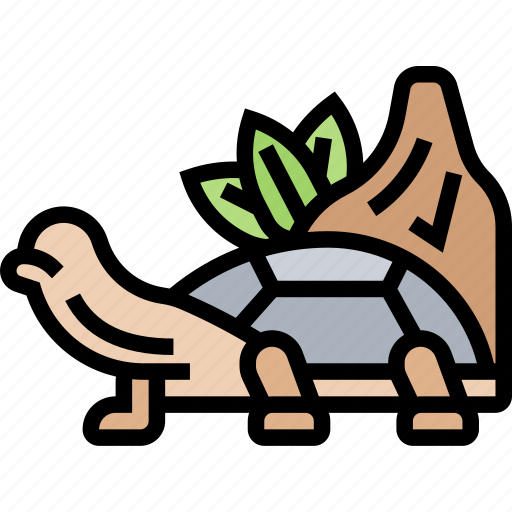 Turtle, pet, wildlife, animal, exotic icon - Download on Iconfinder