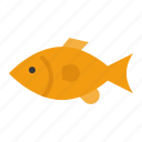 fish, golden fish, pet, shop