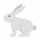 animal, bunny, cony, hare, rabbit, easter, pet